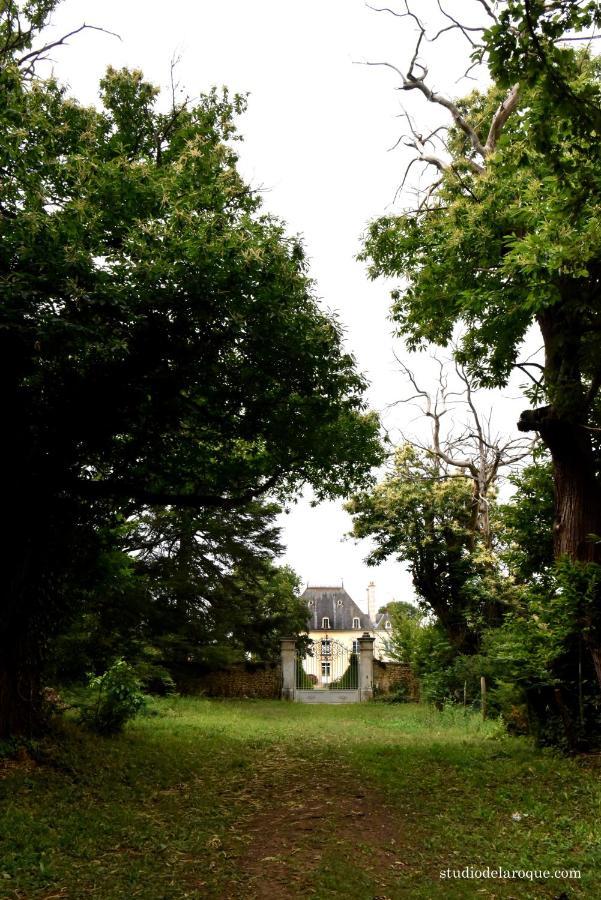SanxayDomaine De La Briouse住宿加早餐旅馆 外观 照片